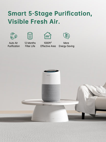 Pet air purifier control panel and display